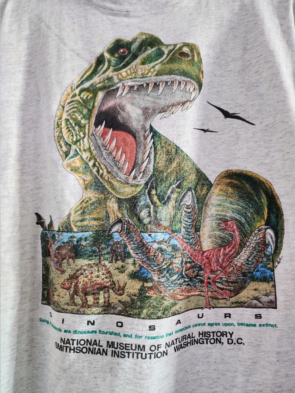 Vintage Dinosaurs Nat'l Museum Of Natural History Smithsonian Washington DC Tee - Picture 2 of 6